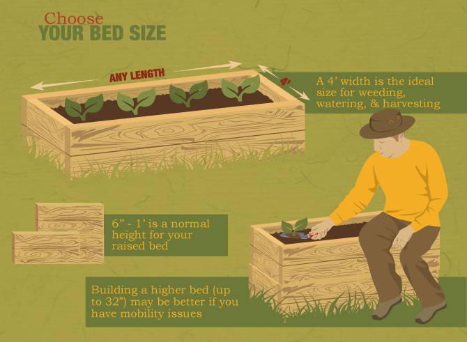 Choose Your Bed Size